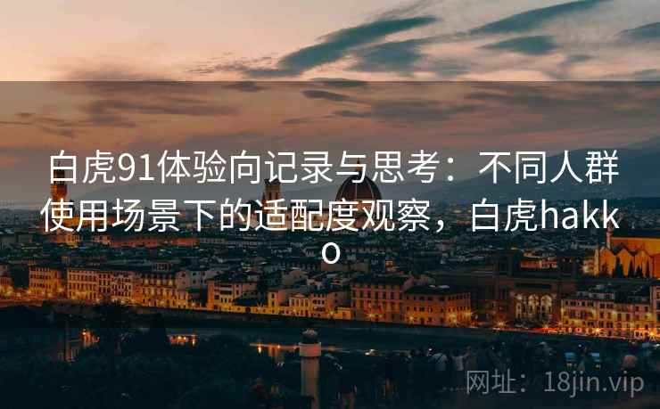 白虎91体验向记录与思考：不同人群使用场景下的适配度观察，白虎hakko  第2张
