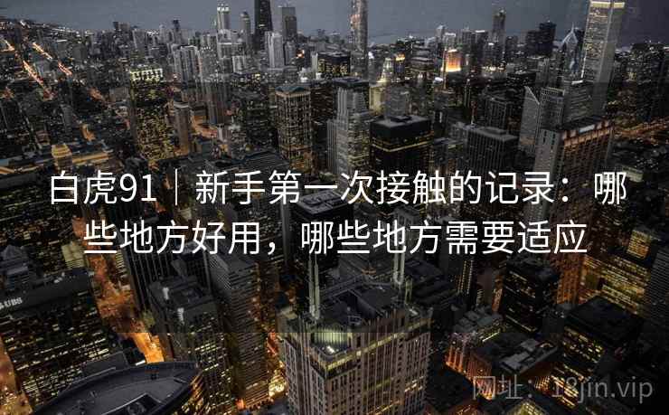 白虎91|新手第一次接触的记录:哪些地方好用,哪些地方需要适应
