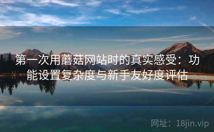 第一次用蘑菇网站时的真实感受：功能设置复杂度与新手友好度评估