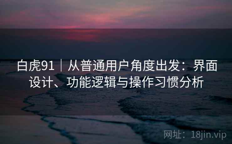白虎91｜从普通用户角度出发：界面设计、功能逻辑与操作习惯分析