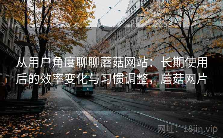 从用户角度聊聊蘑菇网站：长期使用后的效率变化与习惯调整，蘑菇网片