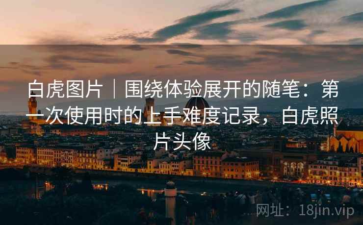 白虎图片|围绕体验展开的随笔:第一次使用时的上手难度记录,白虎照片头像