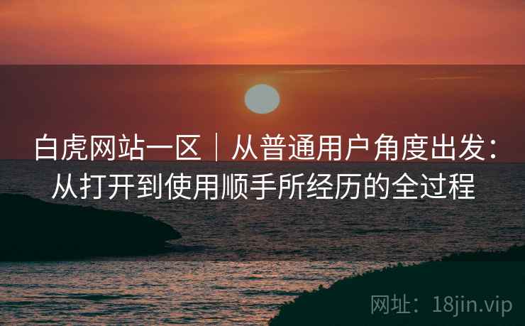 白虎网站一区｜从普通用户角度出发：从打开到使用顺手所经历的全过程