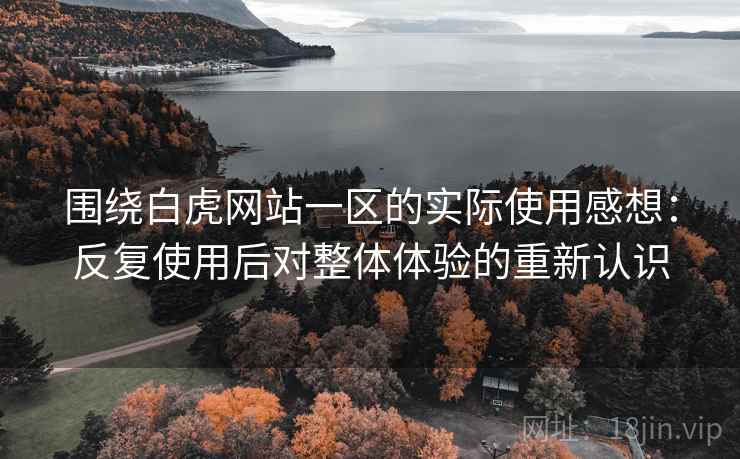 围绕白虎网站一区的实际使用感想:反复使用后对整体体验的重新认识