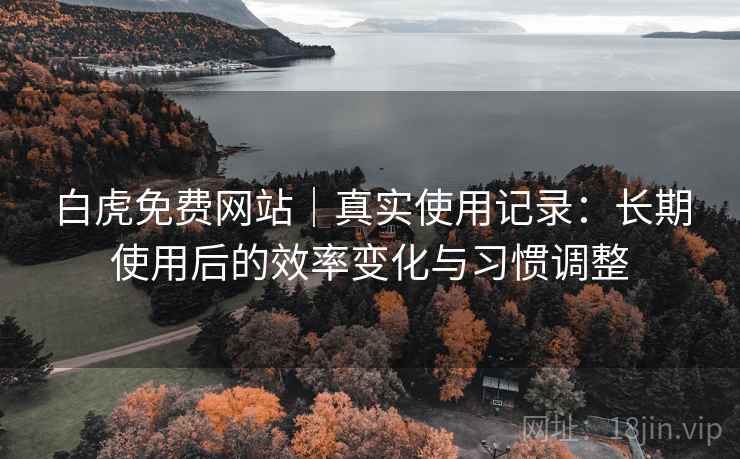 白虎免费网站|真实使用记录:长期使用后的效率变化与习惯调整