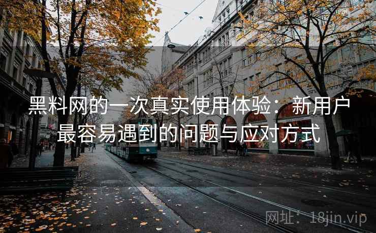 黑料网的一次真实使用体验:新用户最容易遇到的问题与应对方式