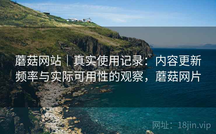 蘑菇网站|真实使用记录:内容更新频率与实际可用性的观察,蘑菇网片
