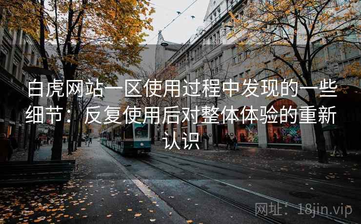 白虎网站一区使用过程中发现的一些细节:反复使用后对整体体验的重新认识