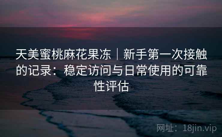 天美蜜桃麻花果冻|新手第一次接触的记录:稳定访问与日常使用的可靠性评估