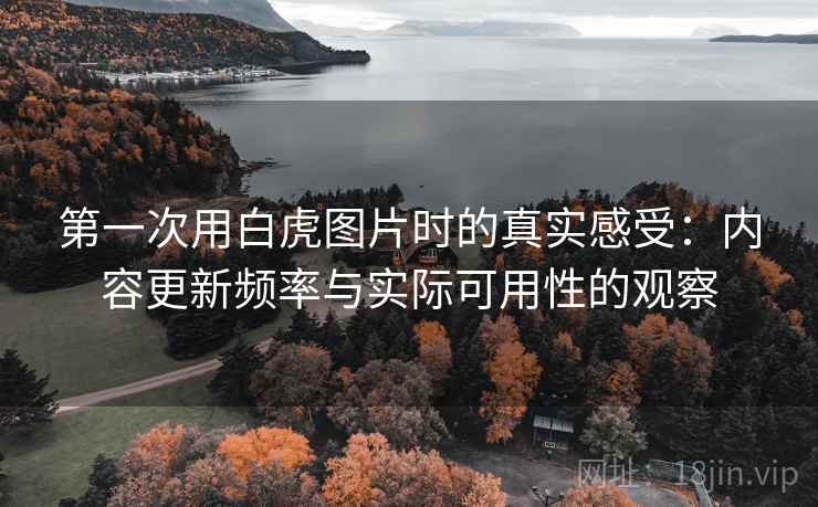 第一次用白虎图片时的真实感受：内容更新频率与实际可用性的观察