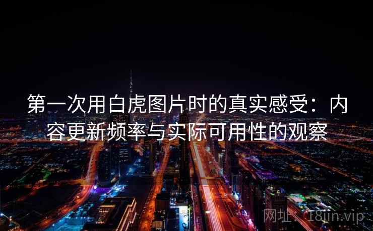 第一次用白虎图片时的真实感受：内容更新频率与实际可用性的观察