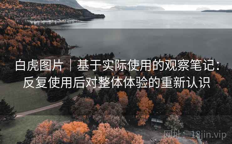 白虎图片｜基于实际使用的观察笔记：反复使用后对整体体验的重新认识