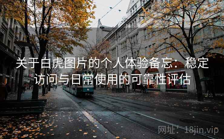 关于白虎图片的个人体验备忘：稳定访问与日常使用的可靠性评估