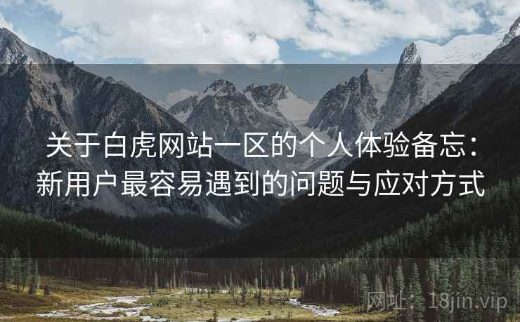关于白虎网站一区的个人体验备忘：新用户最容易遇到的问题与应对方式