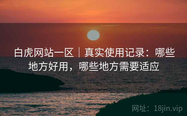 白虎网站一区｜真实使用记录：哪些地方好用，哪些地方需要适应