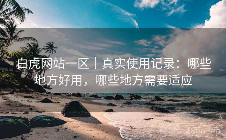 白虎网站一区｜真实使用记录：哪些地方好用，哪些地方需要适应