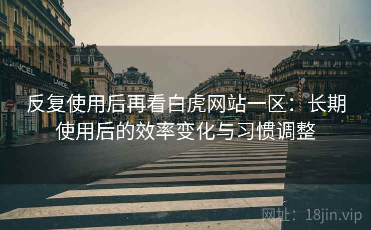 反复使用后再看白虎网站一区：长期使用后的效率变化与习惯调整