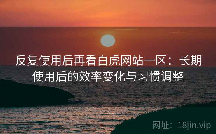 反复使用后再看白虎网站一区：长期使用后的效率变化与习惯调整