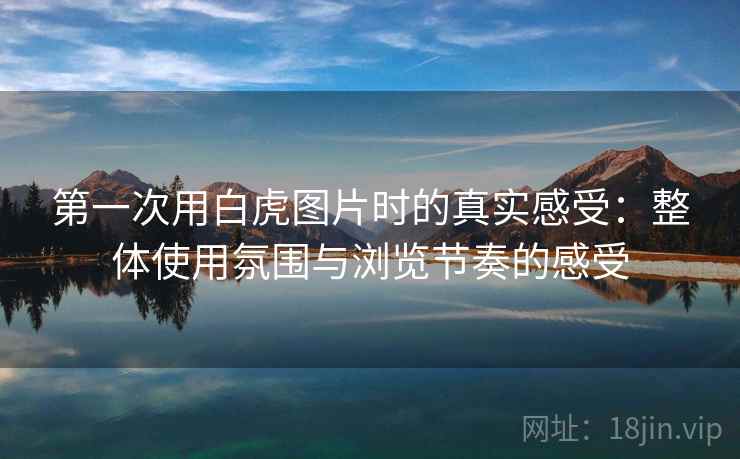 第一次用白虎图片时的真实感受:整体使用氛围与浏览节奏的感受
