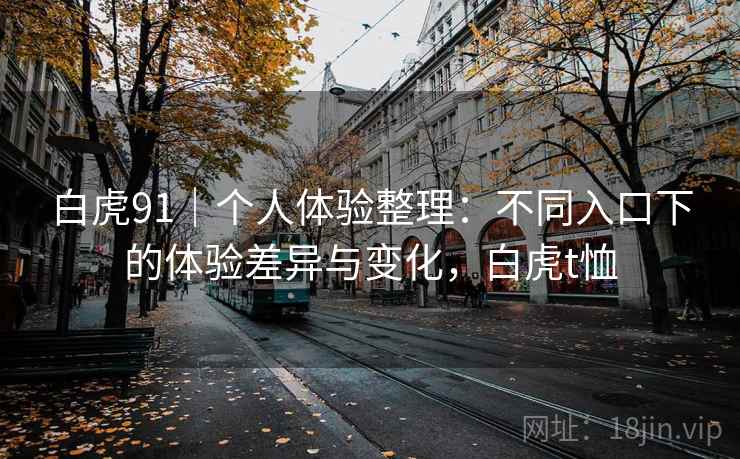 白虎91｜个人体验整理：不同入口下的体验差异与变化，白虎t恤